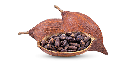 cacao ingrédient